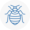 Bed Bug Extermination In Cleckheaton